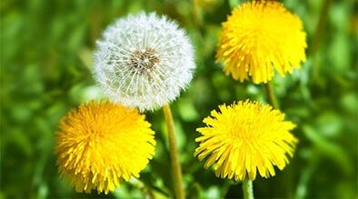 методи за премахване на папиломи с помощта на народни средства